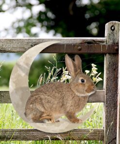 rabbit bunny and moon hanging metal sign qnk1005msv8 3753