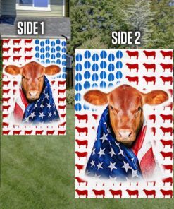 red brangus flag 3885