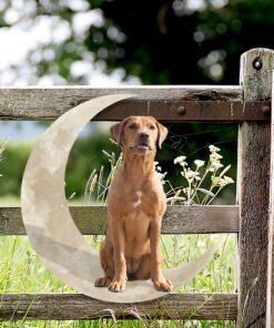 red fox lab dog and moon hanging metal sign qnk879msv26 5234
