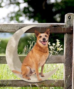 red heeler australian cattle dog and moon hanging metal sign qnk879msv19a 5971