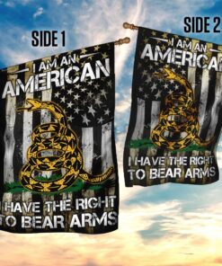 right to bear arms flag 2882