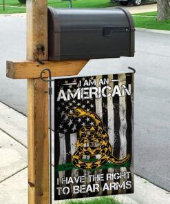 right to bear arms flag 4976
