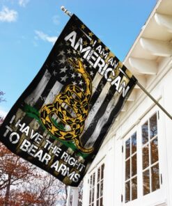 right to bear arms flag 5046