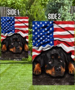 rottweiler. american patriot flag 4355