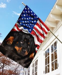 rottweiler. american patriot flag 4731