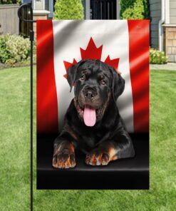 rottweiler dog canadian flag qnn557fv3 6924