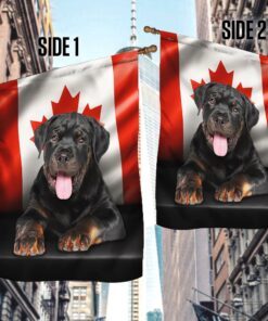 rottweiler dog canadian flag qnn557fv3 8165