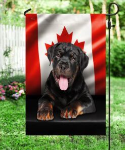 rottweiler dog canadian flag qnn557fv3 8559