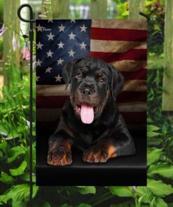 rottweiler american flag 4265