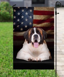 saint bernard american flag 1890