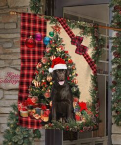 santa chocolate labrador flag sitting in front of the christmas tree tty360fv6 2045