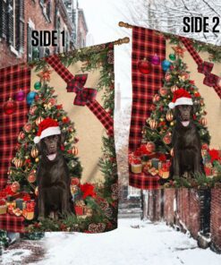 santa chocolate labrador flag sitting in front of the christmas tree tty360fv6 3116