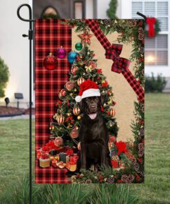 santa chocolate labrador flag sitting in front of the christmas tree tty360fv6 3367