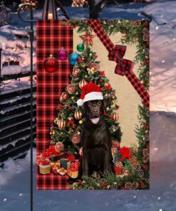 santa chocolate labrador flag sitting in front of the christmas tree tty360fv6 3612