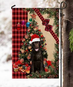 santa chocolate labrador flag sitting in front of the christmas tree tty360fv6 5811