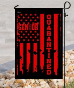 senior 2020 quarantined flag 4216
