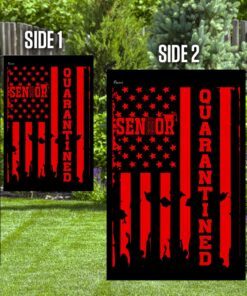 senior 2020 quarantined flag 6210