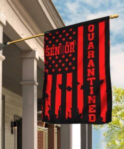 Senior 2020 Quarantined Flag