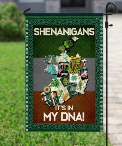 Shenanigans Irish Flag