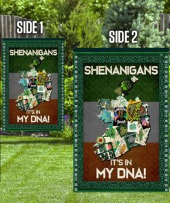 shenanigans irish flag 1764