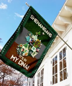 shenanigans irish flag 3092
