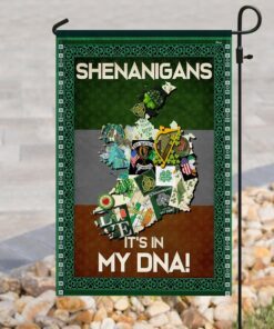 shenanigans irish flag 3630