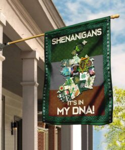 shenanigans irish flag 4051
