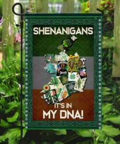 shenanigans irish flag 4478
