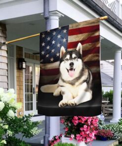 Siberian Husky American Flag QNN437FV23a