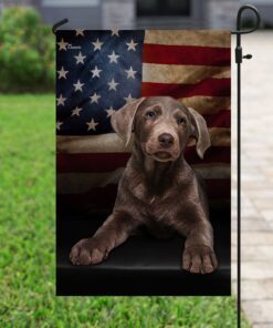 silver labrador american flag 8623
