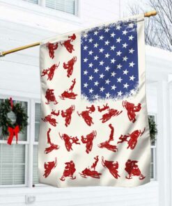 Snowmobile Braaap US Flag DDH2611Fv41