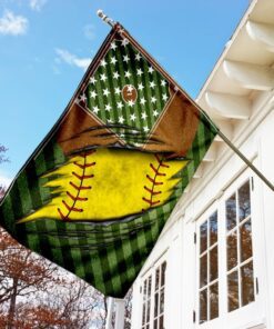 softball flag 2019