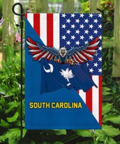 south carolina and american flag 2214