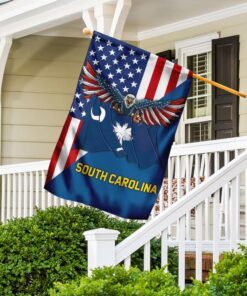 south carolina and american flag 3133