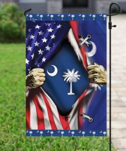 south carolina and american flag 3577