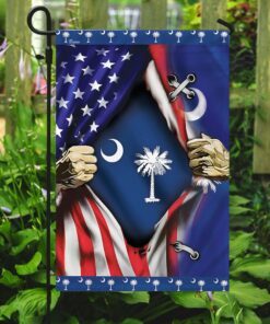 south carolina and american flag 4994