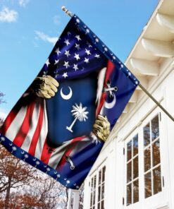 south carolina and american flag 5156