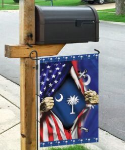 south carolina and american flag 6630