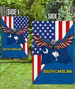 south carolina and american flag 6932