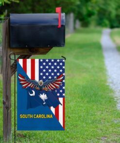south carolina and american flag 8696