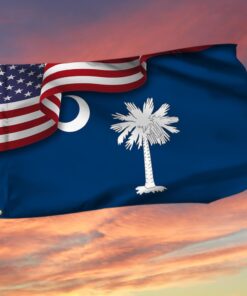 South Carolina Flag American South Carolina Grommet Flag TRV1683GFv14