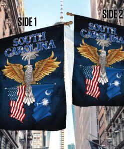 south carolina state american flag qnn254fv5 3678