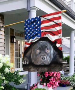Staffordshire Bull Terrier Patriot American Flag THH3346F
