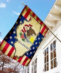 state of illinois flag 3851