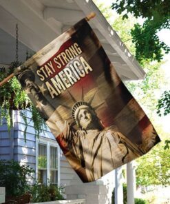 stay strong america flag 8478