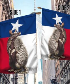 texas armadillo flag lnt223f 4420