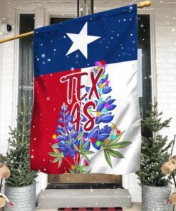 Texas Christmas Flag Bluebonnet LNT790F