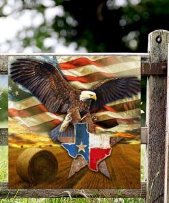 texas eagle american flag art multipiece metal sign decor qnk751mms 5598