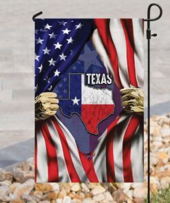 texas flag 6261