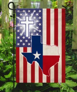 texas flag 8083